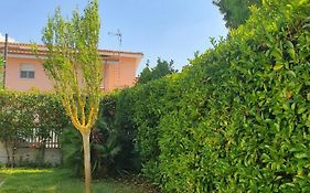 Andrea'S House