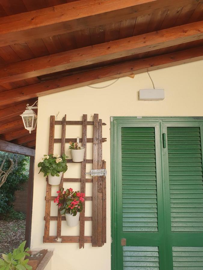 Villa Andrea'S House à Fiumicino Extérieur photo